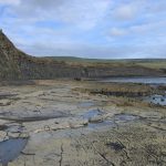 A rocky, flat shoreline with dark-coloured cliffs in the background and a group of people stood at the bottom