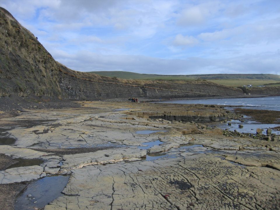 A rocky, flat shoreline with dark-coloured cliffs in the background and a group of people stood at the bottom
