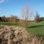 Dry, yellowish grasses mark the course of a dry river bed through a green grassy field