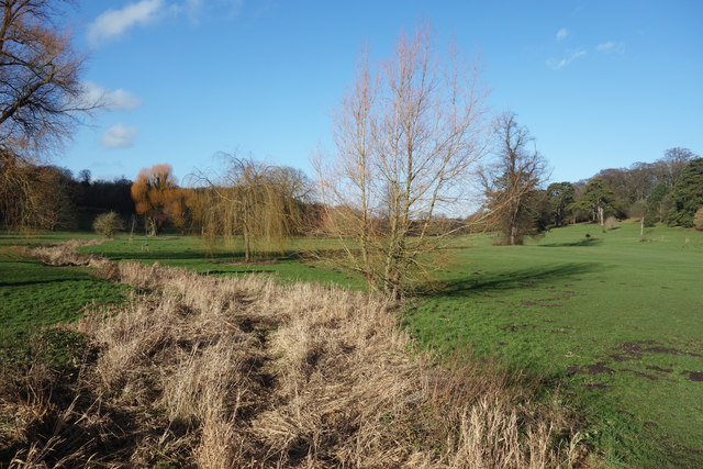 Dry, yellowish grasses mark the course of a dry river bed through a green grassy field