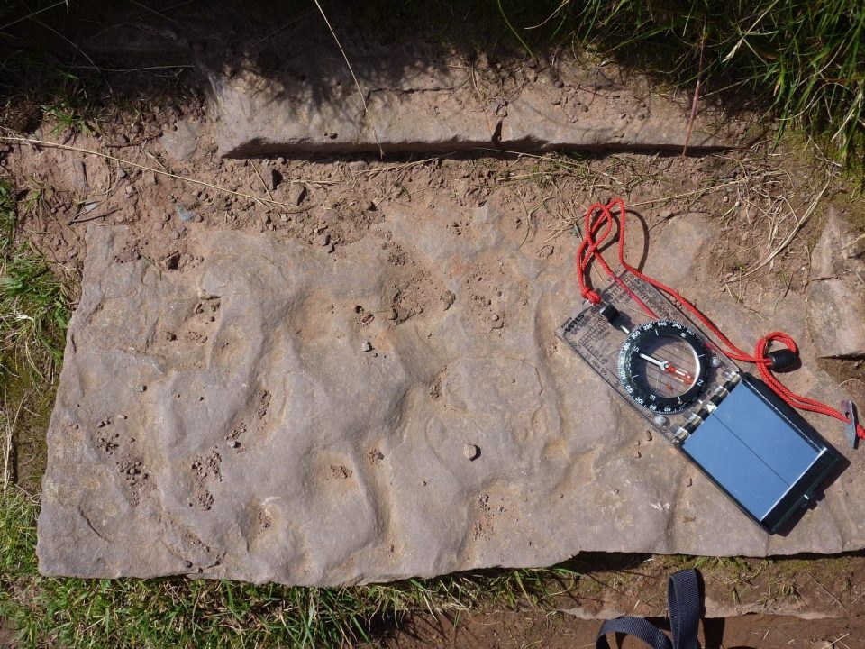 A slab of brownish-red rock with ripple marks along the top of it. A companss clinometer is sitting on the rock at the right hand side of the picture.