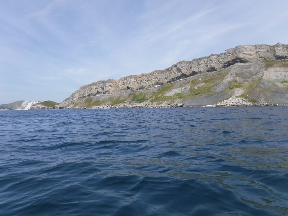 A photograph of the southern coast of the Brandy Bay cliffs; the section of coast between Wolbarrow bay (visible left) and Kimmeridge Bay. These cliffs are comprised of the same Jurassic age Kimmeridge clay. Image taken by myself from my kayak.