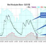 a graph of water levels in a water observation borehole