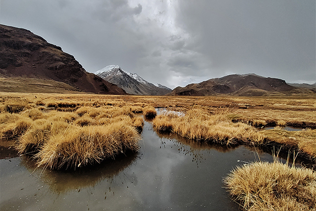 A pool of water in some grassy marshyland with snowy mountains the backgrounds