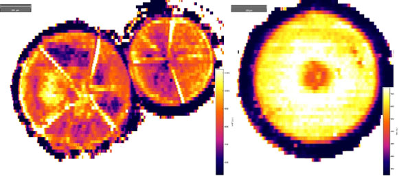 Figure 5: Chromium distribution in magnesium carbonate spheres showing variable incorporation across and between individual spheres. Higher chromium content is shown in the yellow to white colours. BGS © UKRI