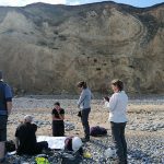 Examining the large fold structures that deform the glacial sediments exposed at West Runton. Sarah Arkley, BGS © UKRI.