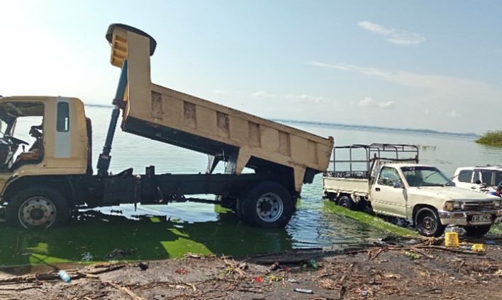 A dumper truck with the flatbed lifted in a lake full of green algae