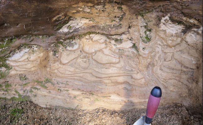 Pale beige-cream rock with showing sedimentary structures within, such as slump ing