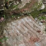 Long wavy bumps (ripples) on the surface of a fallen block of sandstone. A 1 pence piece is shown for scale.