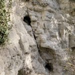 A rock face of white chalk with two voids joined by a crack