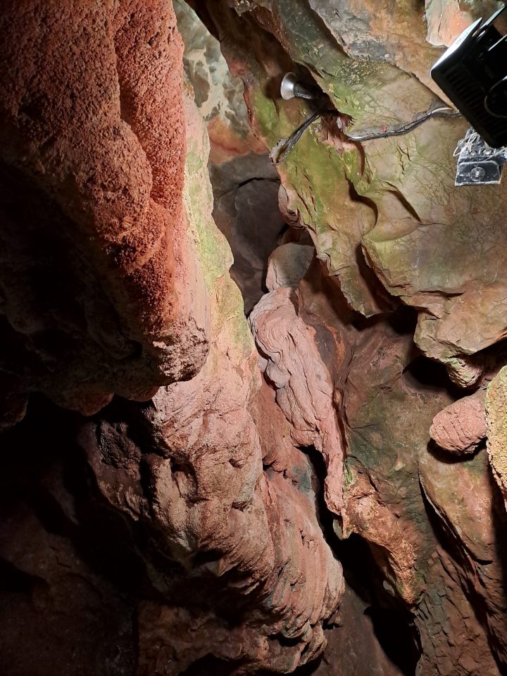 Green patches of lichen growng pink-orange rocks under an artificial light.