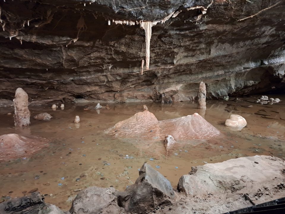 Small white spelethems and a pool of water in grey limestone in a cave.