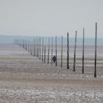 A line of vertical wooden poles stretches out across an expanse of flat sand. In the distance there is a person walking beside the poles.