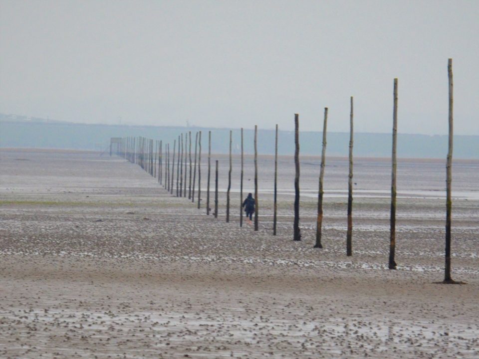 A line of vertical wooden poles stretches out across an expanse of flat sand. In the distance there is a person walking beside the poles.
