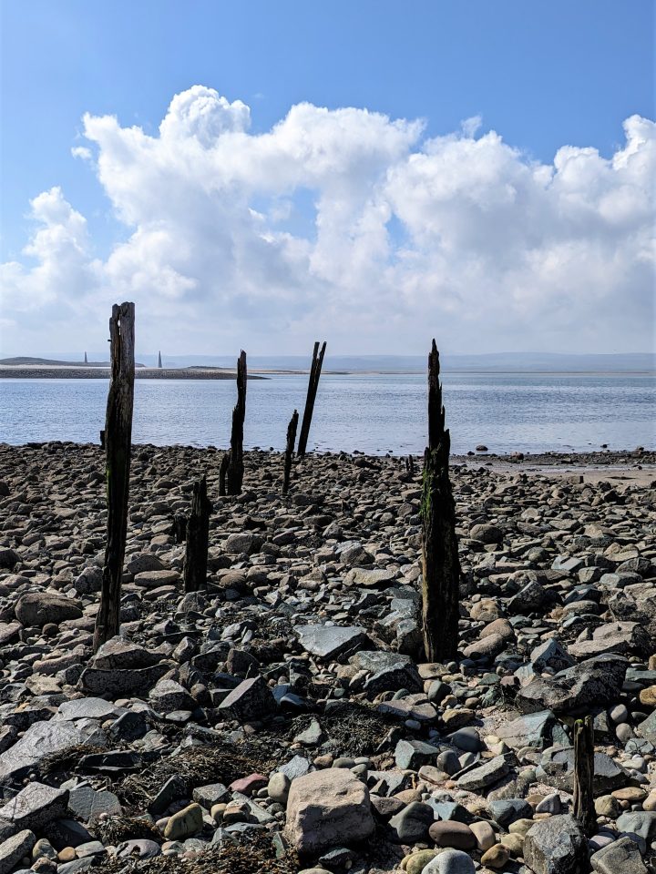 Weathered wooden poles poking out of rocky foreshore