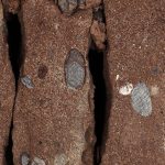 Section of core from the UK Geoenergy Observatory in Cheshire, featuring sandstone from the Chester Formation of the Triassic Sherwood Sandstone Group. BGS © UKRI