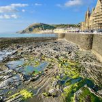 The steeply dipping Aberystwyth Grits Group below the southern part of the promenade, beneath the Old College, University of Aberystwyth. View looking north. © Melanie Leng.