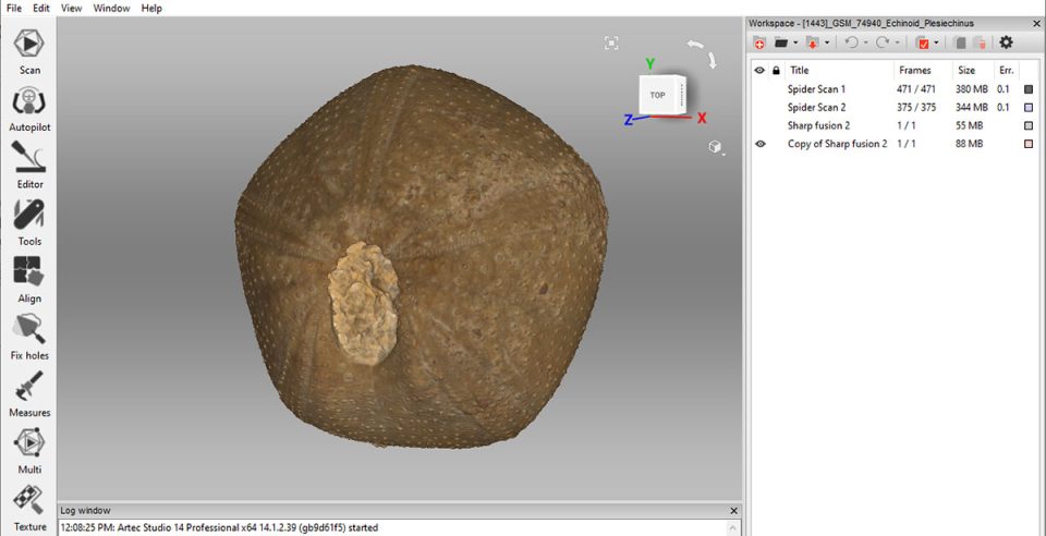An echinoid (sea urchin) fossil that Simon and I scanned. BGS © UKRI.