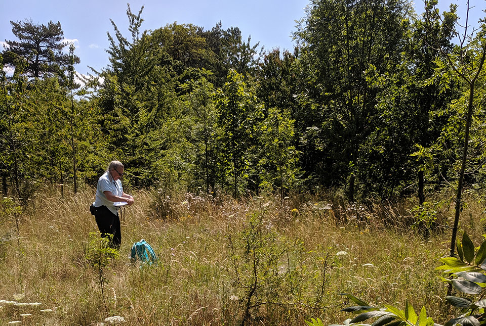 Plant sampling for strontium and sulphur plant analysis. BGS © UKRI.