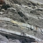 Cliffs below Constitution Hill, Aberystwyth. Typical Aberystwyth Grits Group lithology in the Aberystwyth area. The succession is mudstones with numerous sandstone turbidites up to 0.24 m thick. BGS © UKRI.