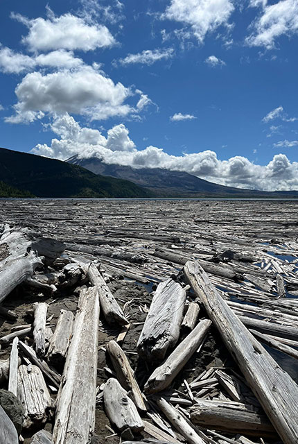 Logs from trees that were removed from the 1980 blast still floating in Spirit Lake, with Mount St Helens obscured by clouds in the background. Samantha Engwell © BGS / UKRI