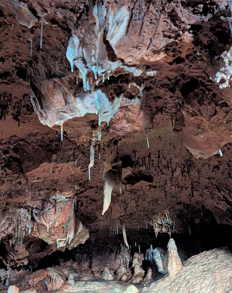 Each straw has a drop of water hanging from its tip, indicating that the speleothems are still actively growing.