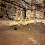 Brown and pale layers of sediment and rock