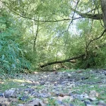 Dry River Pang, Hampstead Norreys, Berkshire, during the drought of 2022. BGS © UKRI.