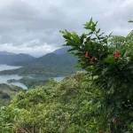 Thousand-Island Lake in the Central Mountain Range of Taiwan. The lake provides the public water supply for Taiwan’s capital city Taipei. © John Bloomfield