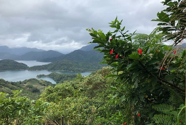 Thousand-Island Lake in the Central Mountain Range of Taiwan. The lake provides the public water supply for Taiwan’s capital city Taipei. © John Bloomfield