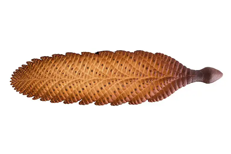 Reconstruction of C. masoni by Matteo De Stefano/MUSE. This file is licensed under the Creative Commons Attribution-Share Alike 3.0 Unported license. 