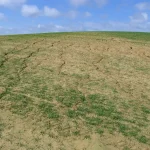 Soil erosion and gullying following rainfall, Mersley Farm, Arreton, Isle of Wight. BGS © UKRI.