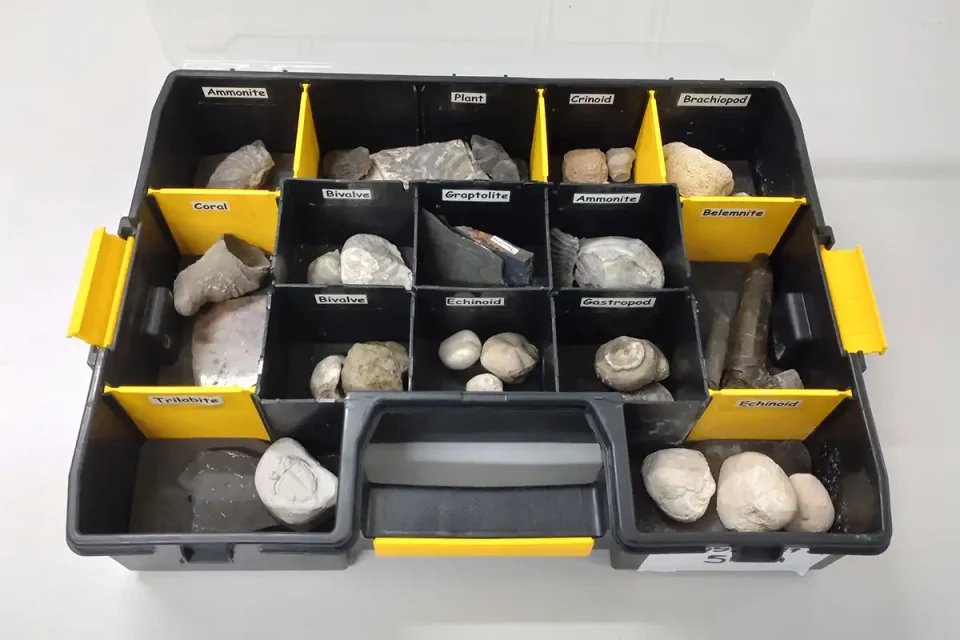 Inside the fossil kit box. © BGS / UKRI