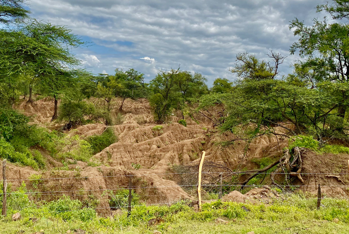 Examples of soil erosion across Western Kenya -Baringo. Source: Sophia Dowell
