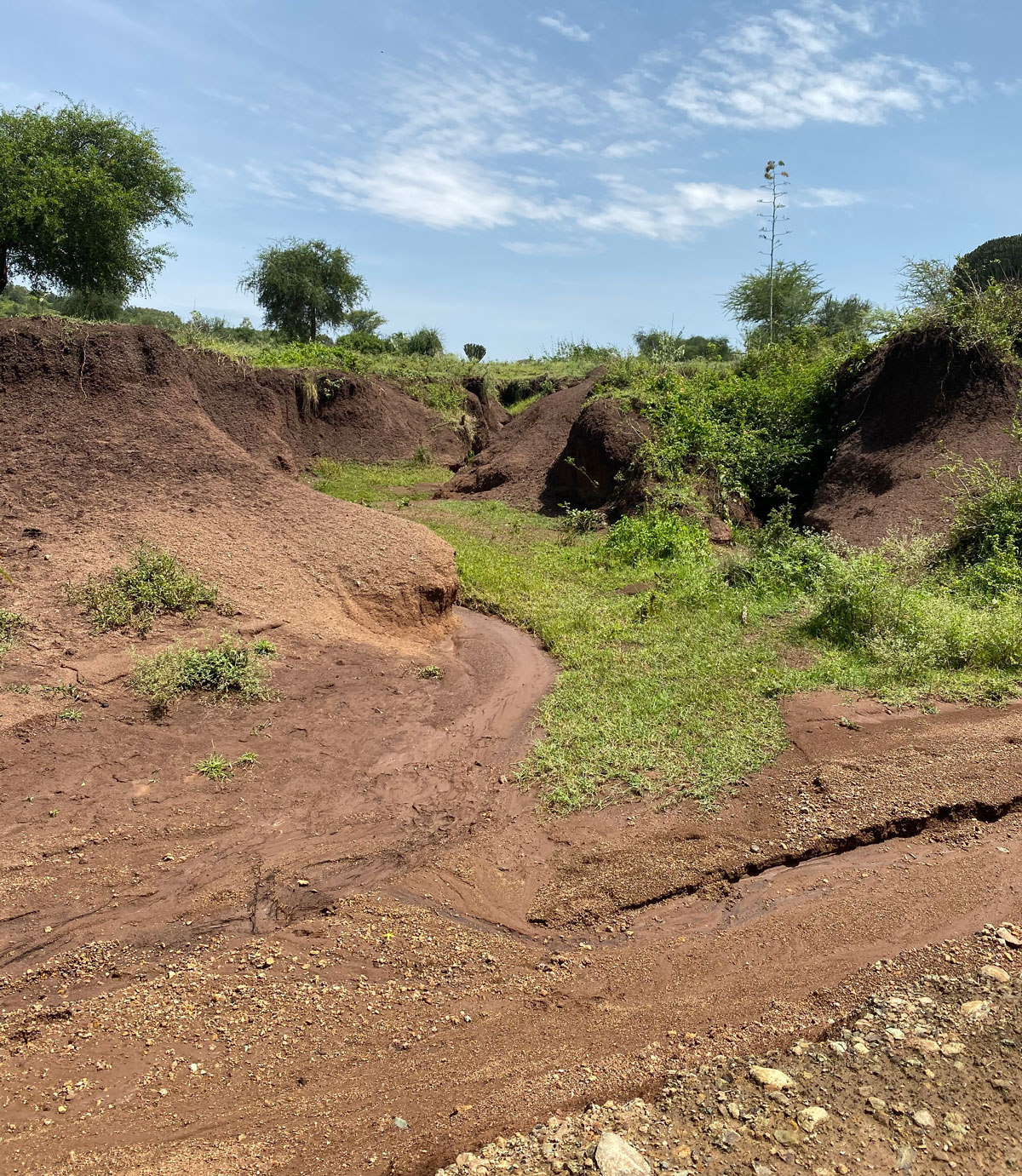 Examples of soil erosion across Western Kenya -Homa Bay. Source: Sophia Dowell
