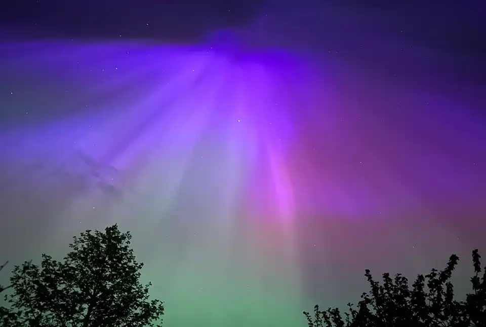 The aurora over Haddington, Scotland. Credit: Migle Petruskeviciute