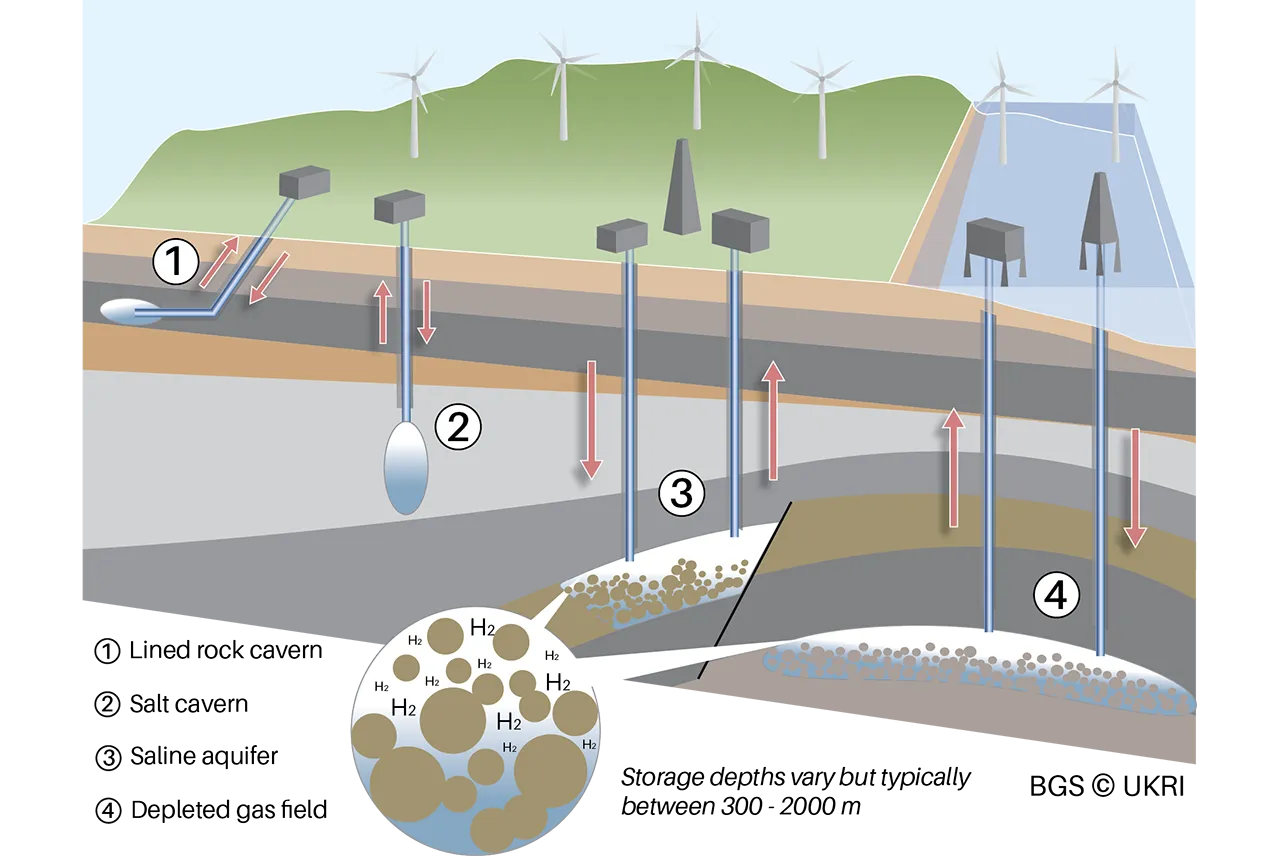 Underground hydrogen storage is a promising solution for large-scale, long-duration energy storage. This image shows four potential methods of storing hydrogen: lined rock caverns; salt caverns; saline aquifers, and depleted gas fields. The inset highlights the storage mechanism in saline aquifers and depleted gas fields, where hydrogen is stored within the rock’s pore spaces. BGS © UKRI 2025.
