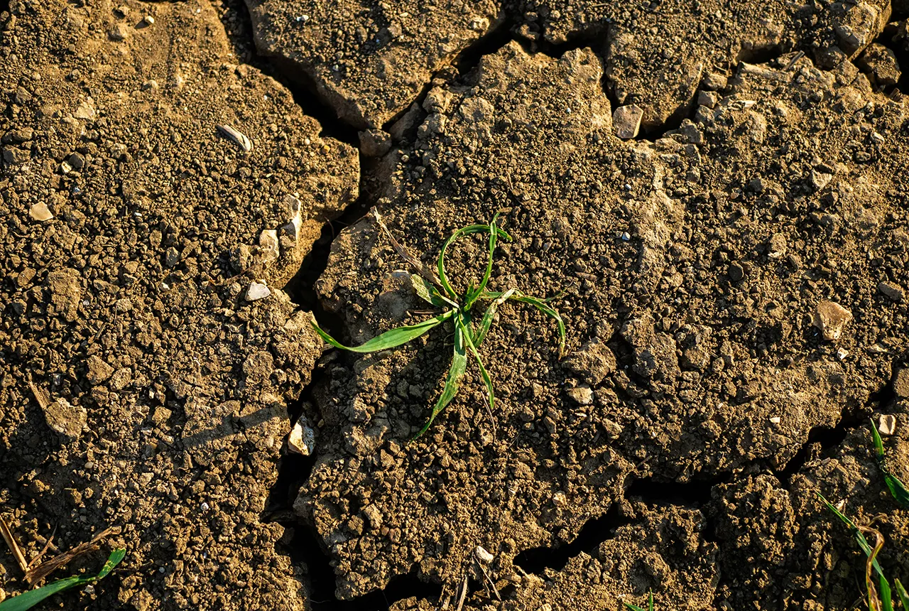 chrishall-royston-yktom-rogers-YnjmFVlZ8eo-unsplash