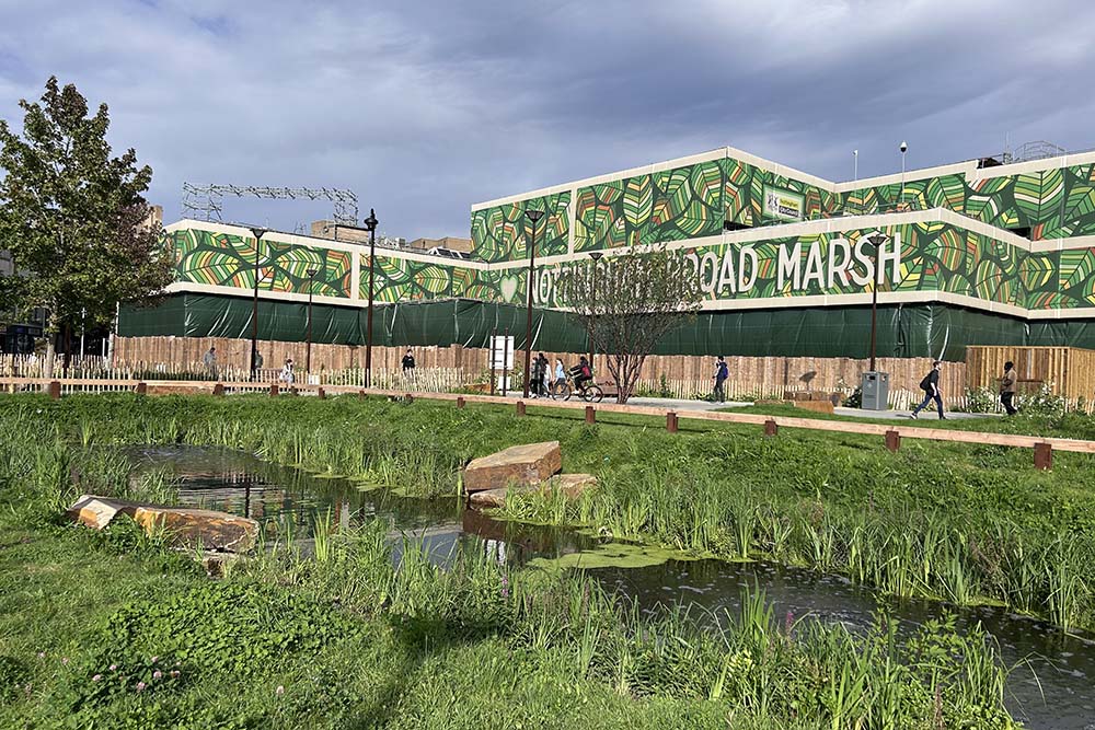 Wild grasses and pond with a path and the old Broad Marsh in the background.