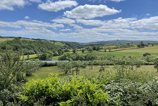 Rural-landscape