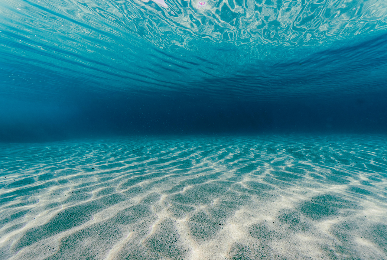 Understanding the distribution of seabed sediments is important for a wide range of applications. © Kammeran Gonzalez-Keola, Pexels.