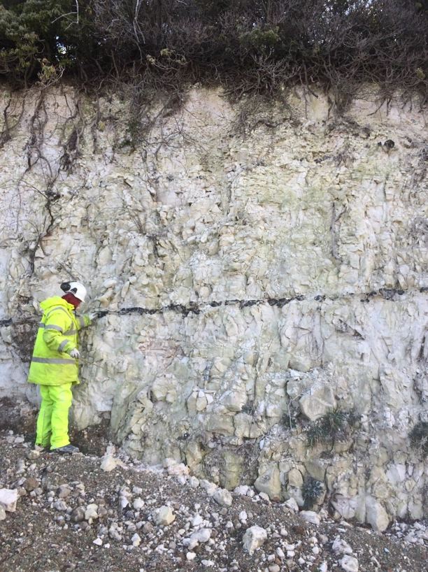 A BGS geologist studying a flint band within a Chalk outcrop as part of fieldwork during the Lower Thames Crossing project. BGS © UKRI