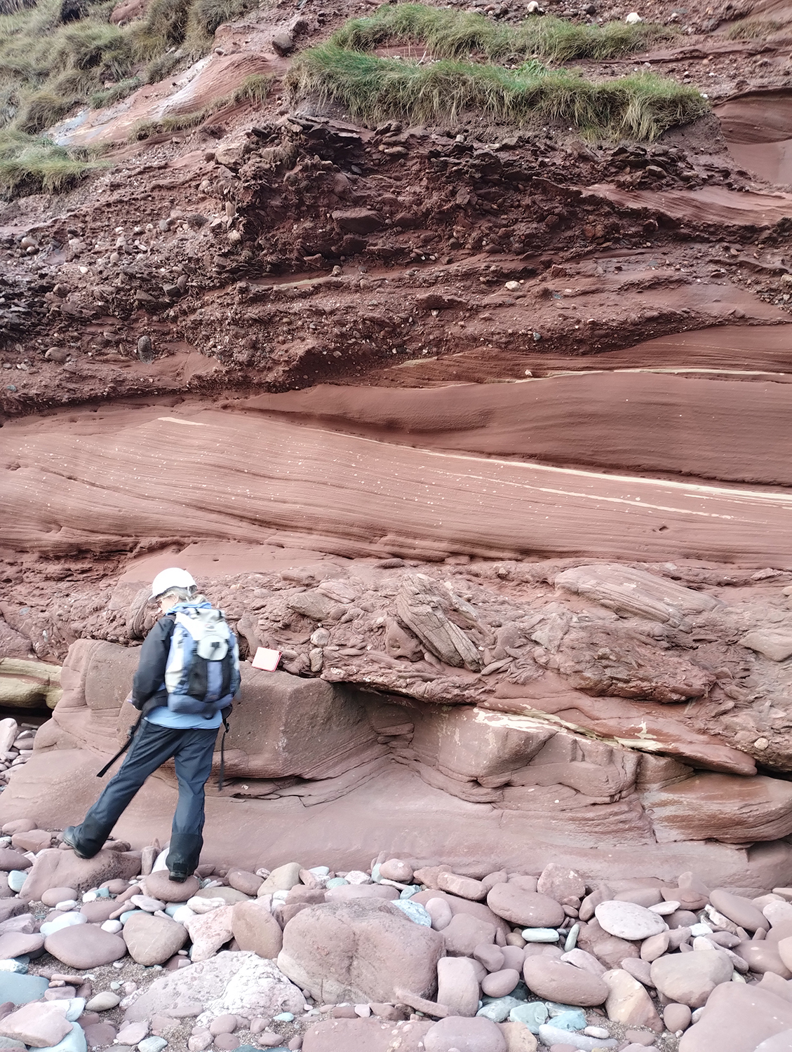 The foreshore and cliff-face at Arbroath give important insight into the features of the Scone Sandstone Formation, a formation which exists beneath much of the northeastern Strathmore Basin. BGS Geoscientist for scale.
