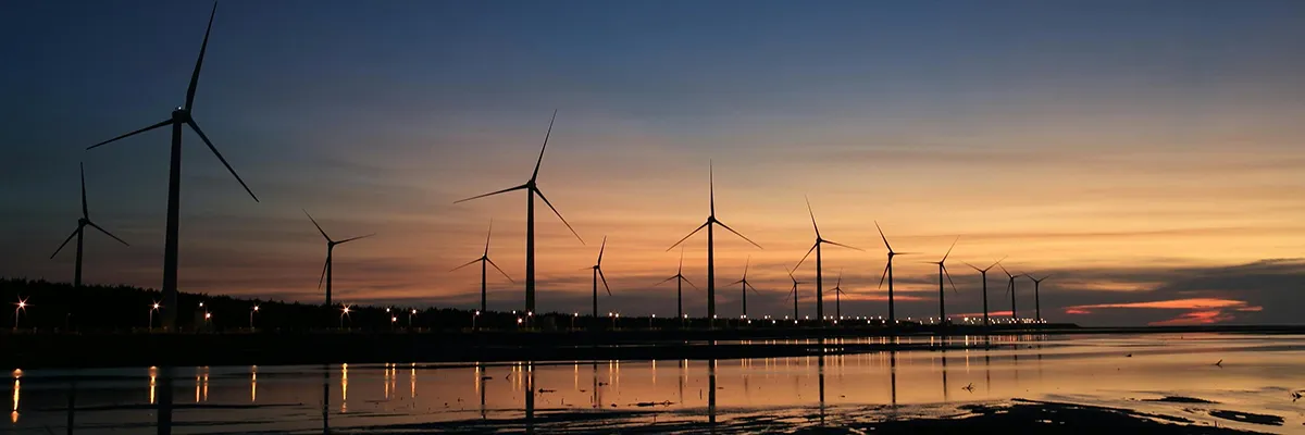 pexels-flickr-157039